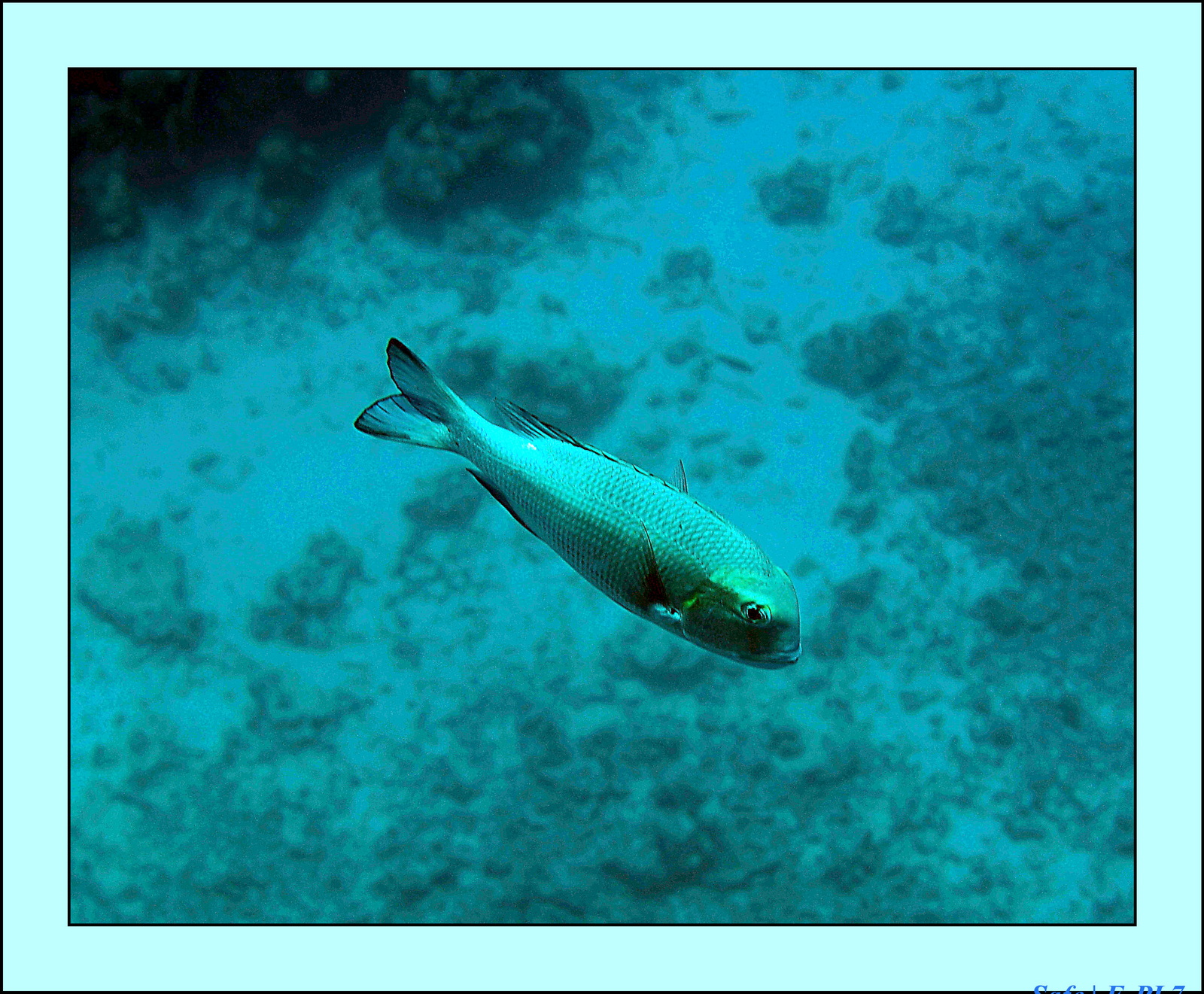 Hurghada - Aout 2021 - 028